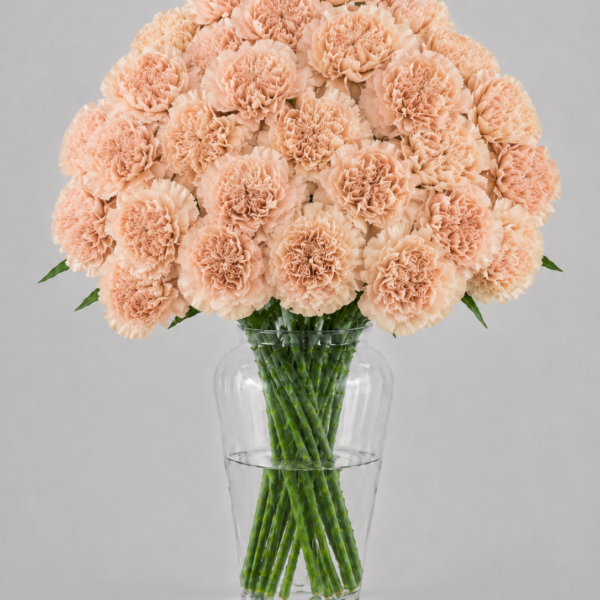 Antique Carnations
