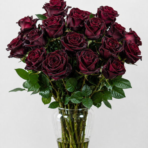 Black Baccara