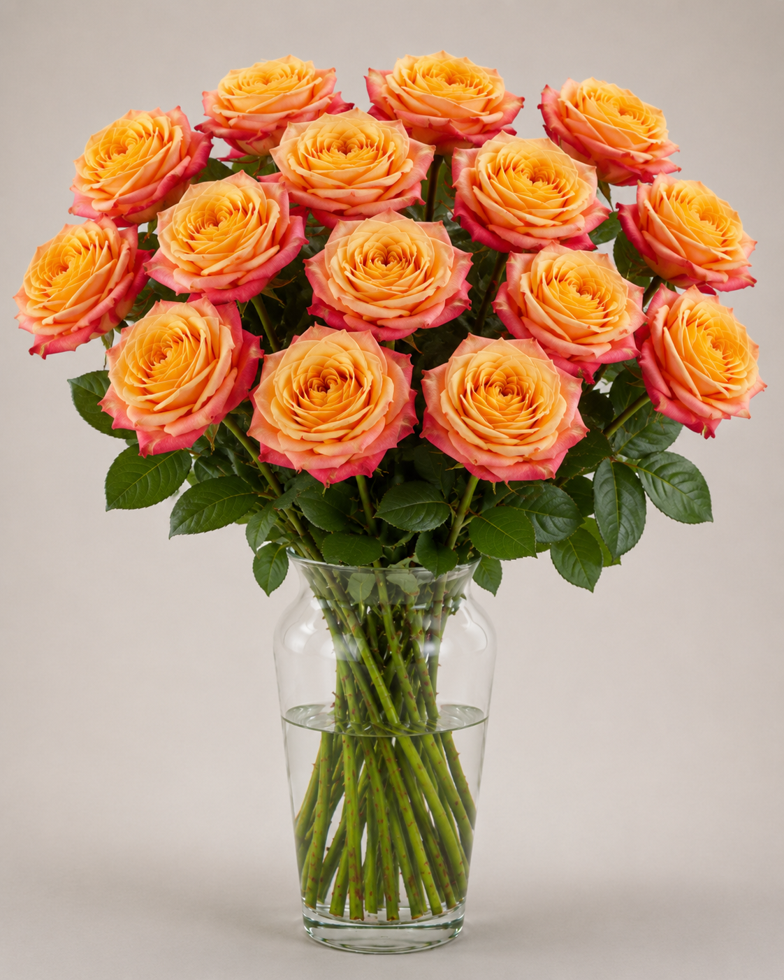 Cherry Brandy Rose
