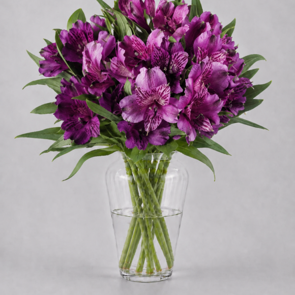 Deep Purple Alstromerias