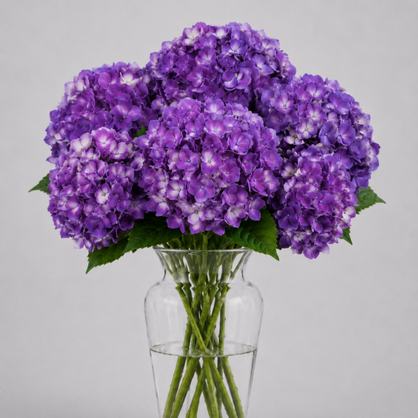 Dyed Purple Hydrangea