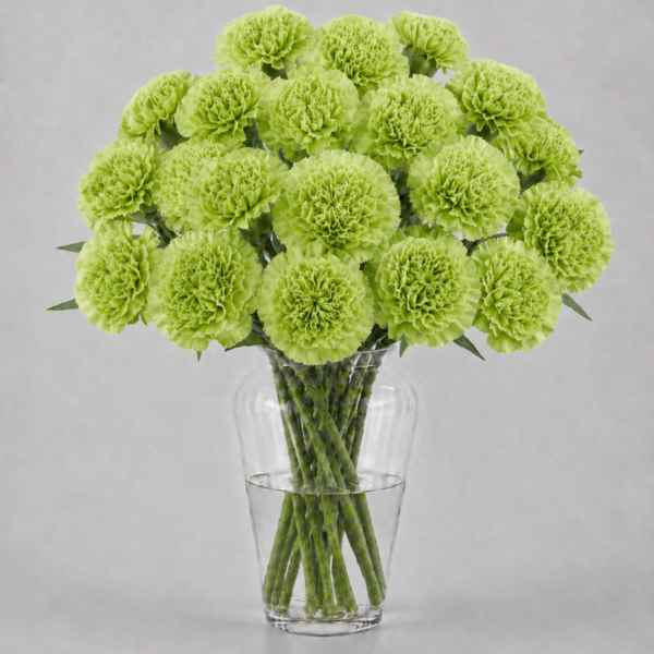 Green Carnations
