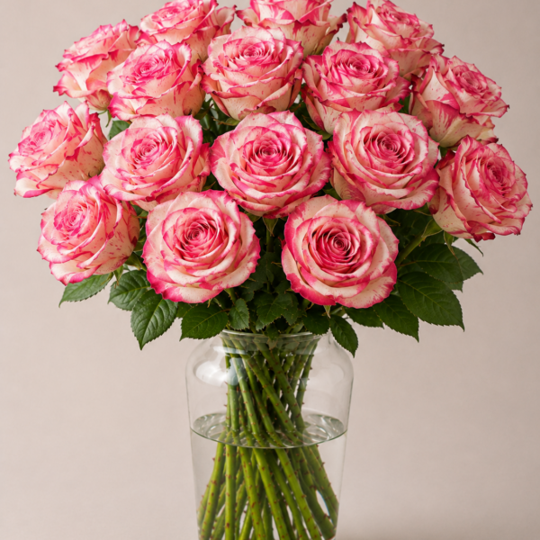 Magic Times