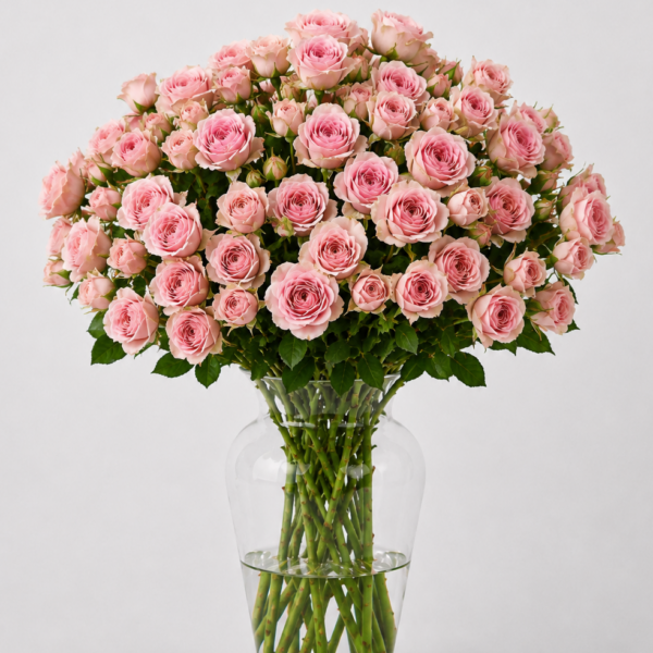 Pink Irishka