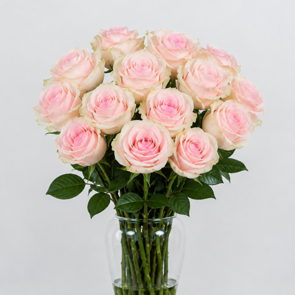 Pink Mondial