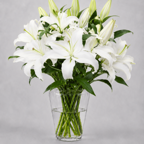 White Lilies
