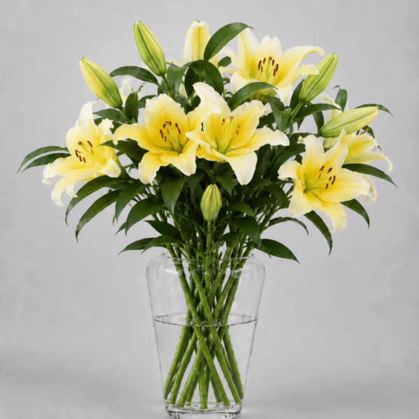 Yellow Lilies