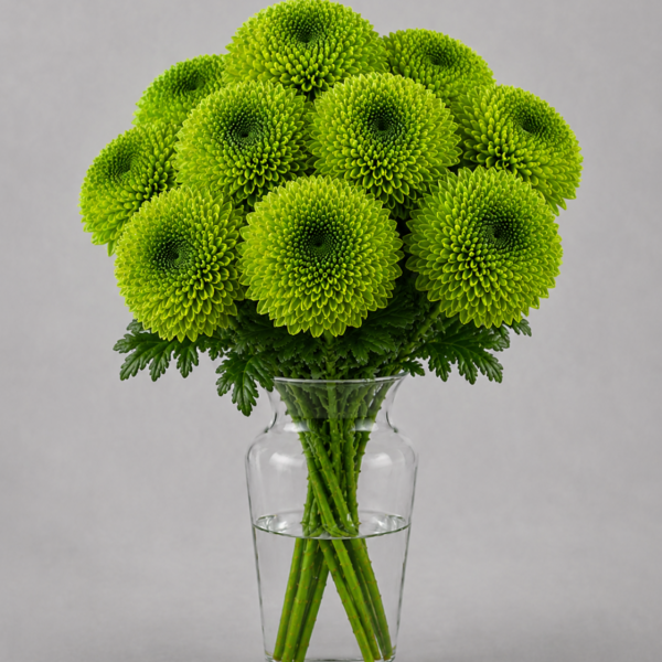 Bombellini