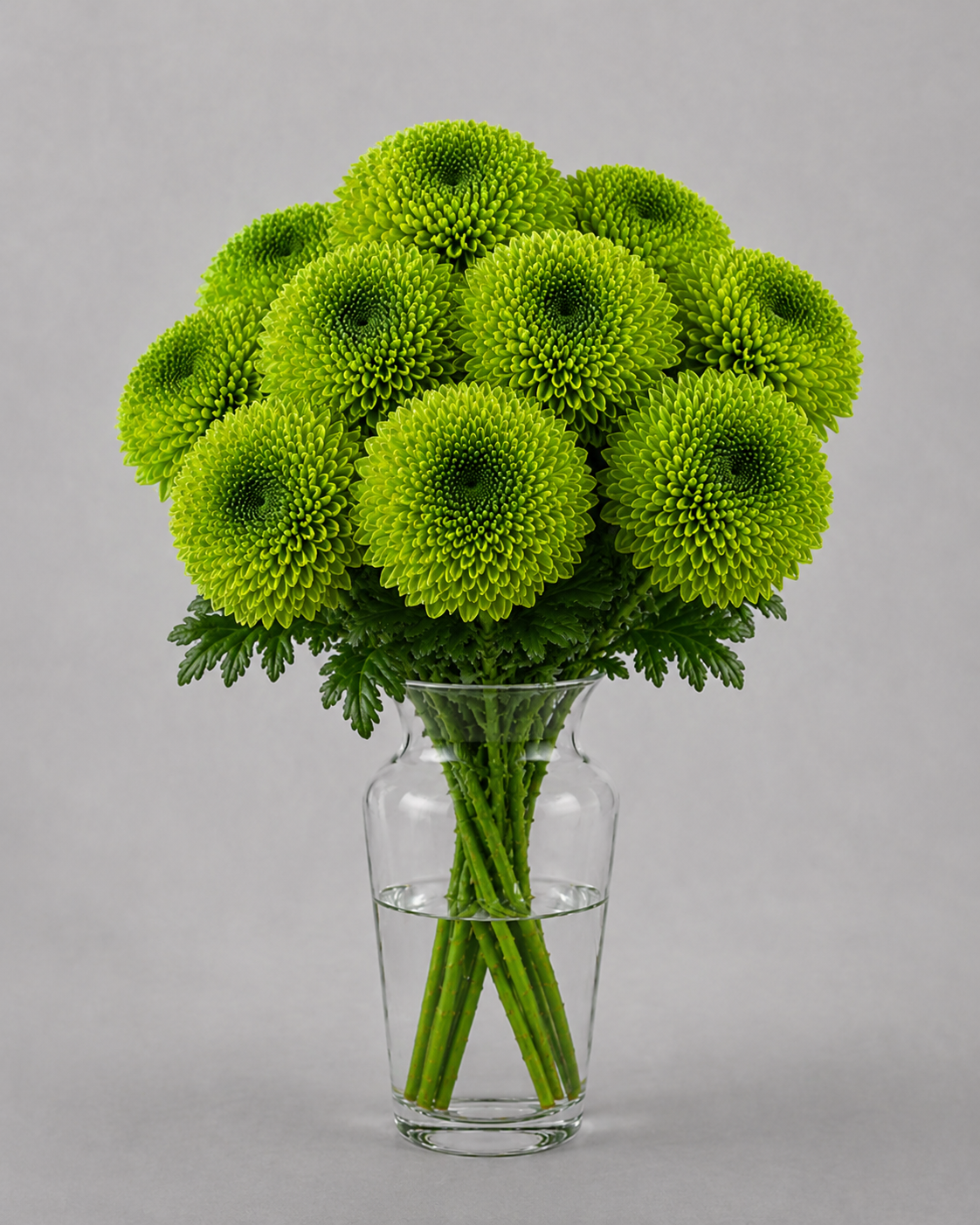 Bombellini
