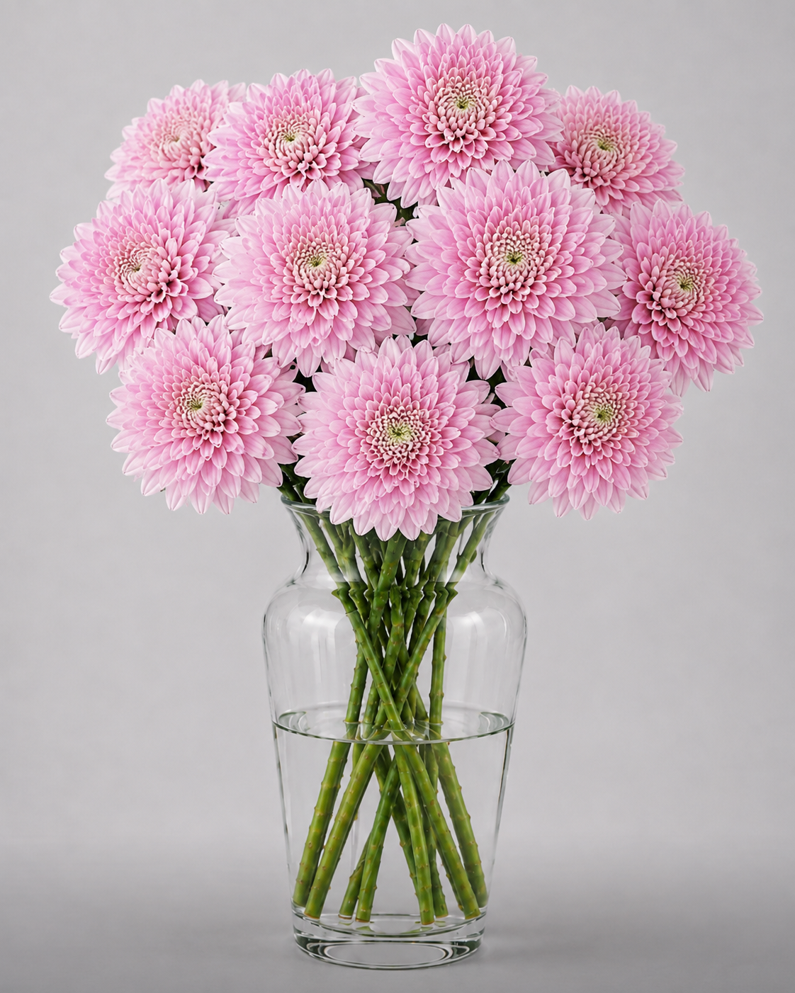 Light Pink Cremon