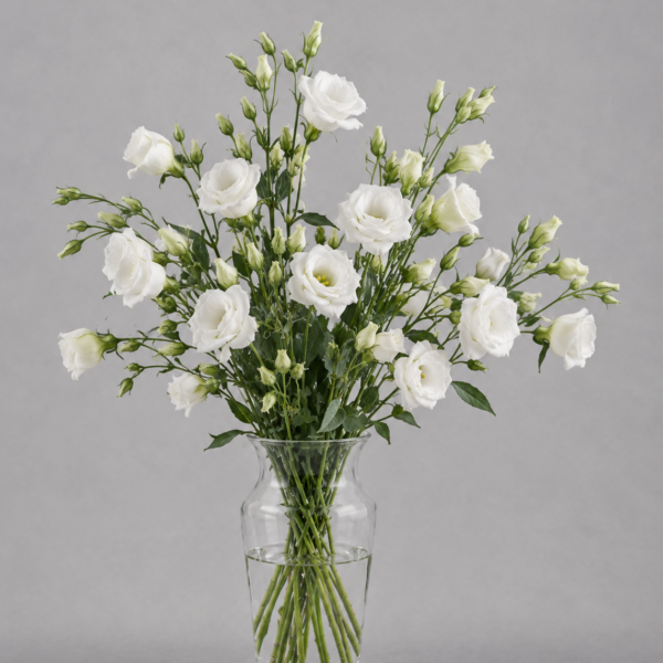 Lisianthus