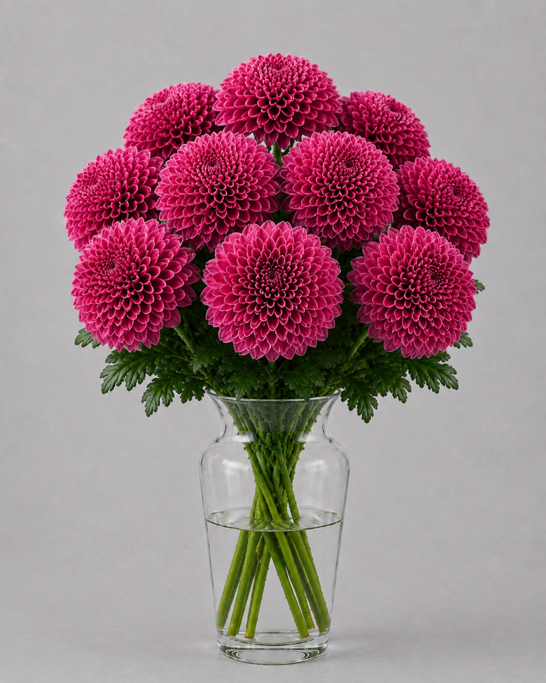 Lychee