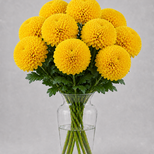 Yellow Cap