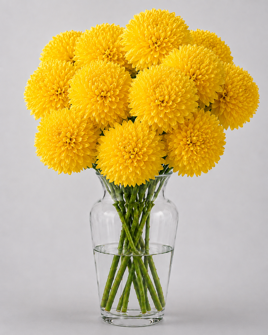 Yellow Cremon